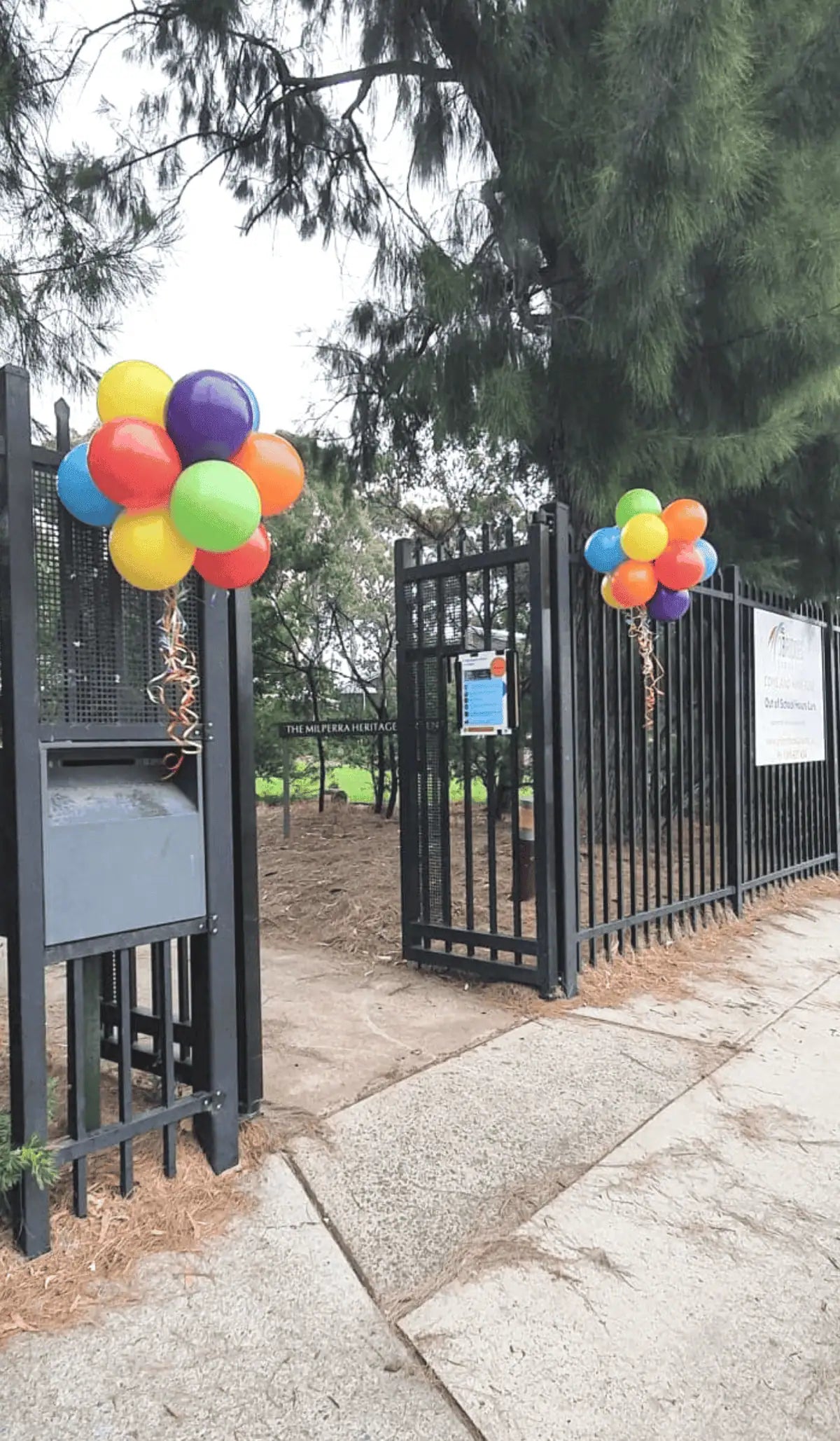 Brisbane Air Filled Hanging Display Topiary Ball