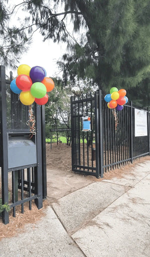 Geelong Air Filled Hanging Display Topiary Ball