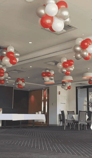 Geelong Air Filled Hanging Display Topiary Ball