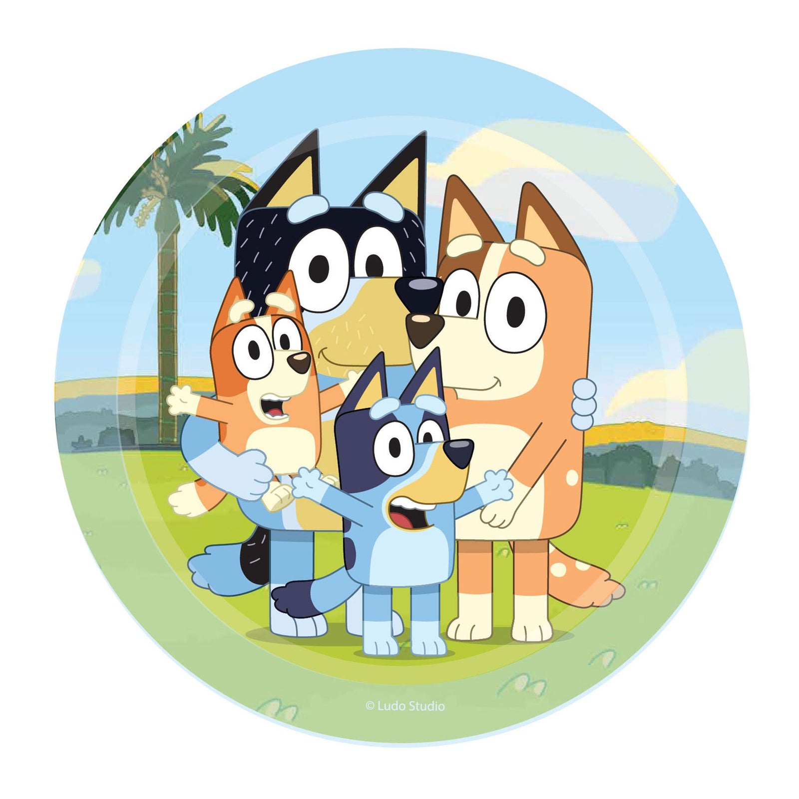 Bluey Paper Lunch Plates