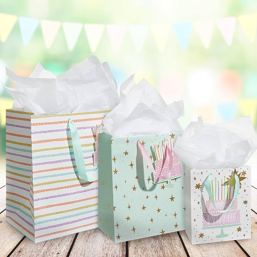 Medium Gift Bag Assorted