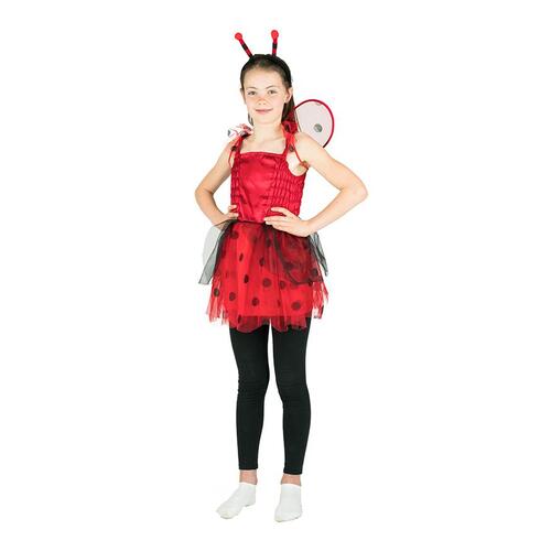 Ladybird - Kids Costume