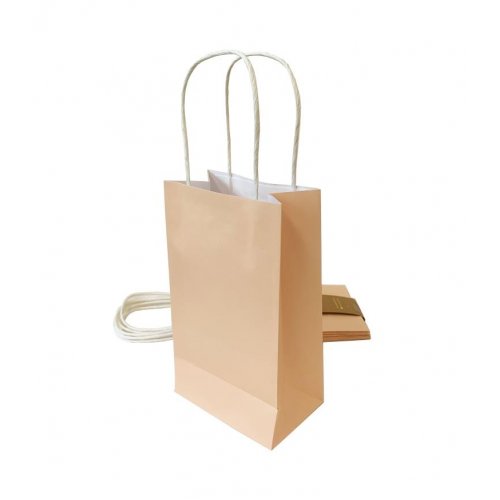 Eco-Friendly Pastel Peach Paper Party Bags