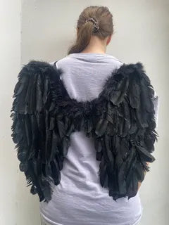 Feather Wings Black 50x50 Cm