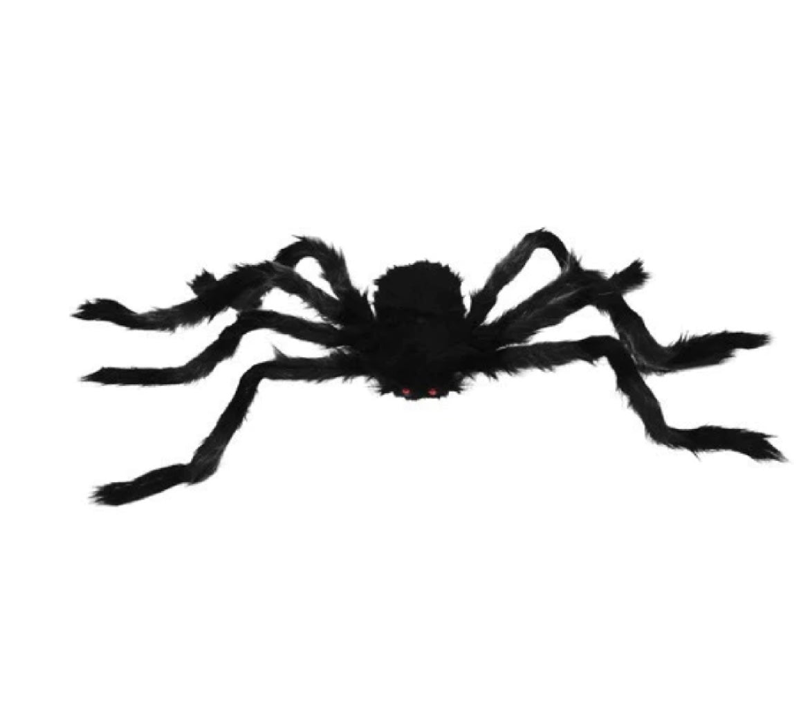 Black Furry Spider 50cm