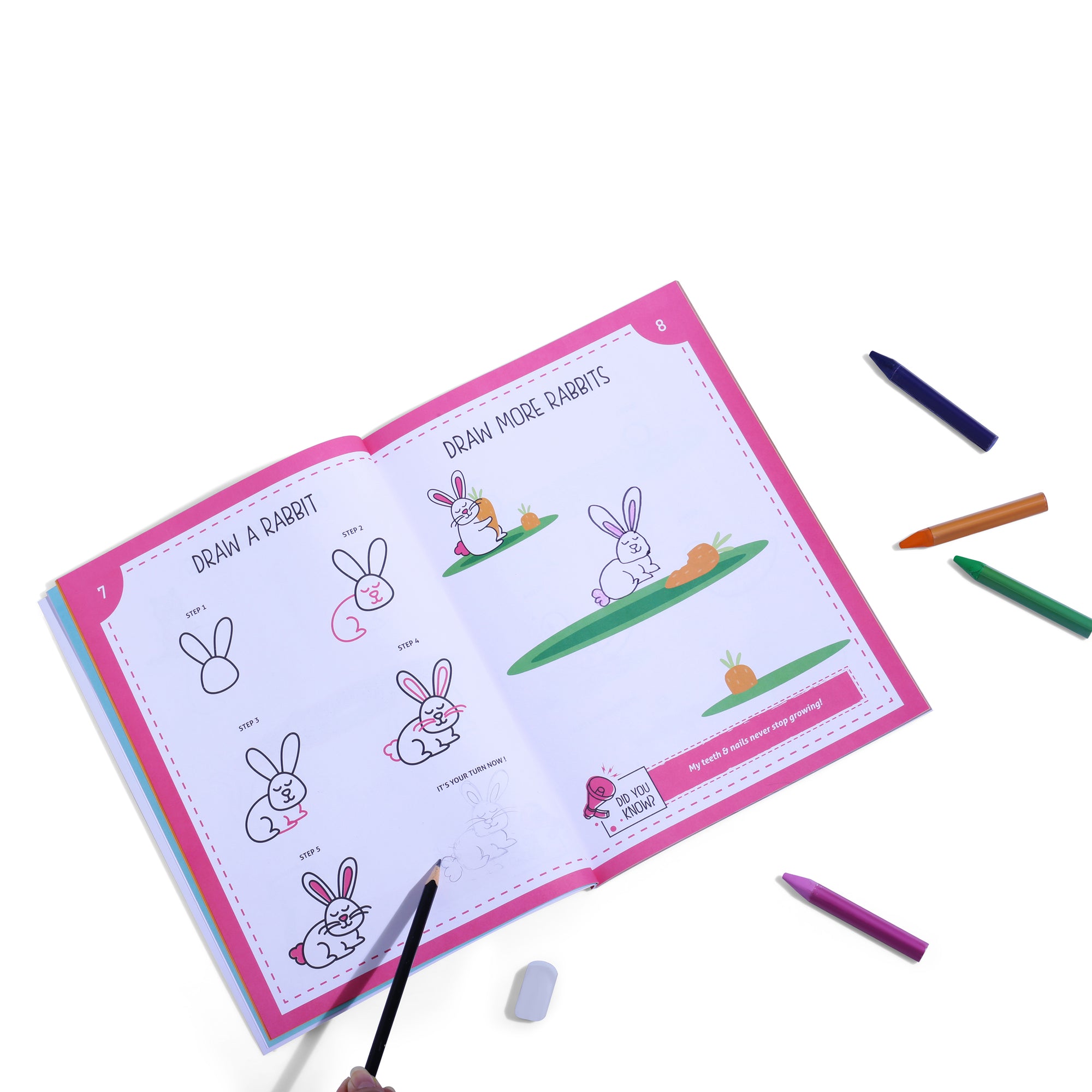 Step-By-Step Drawing Book-Cute Farm Animal