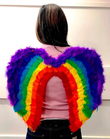 Rainbow Feather Wings 50CmX45Cm