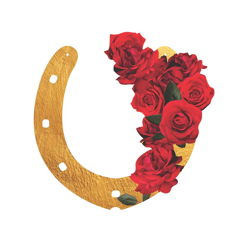 Spring Racing Horseshoe CardBoard Floral Cutout