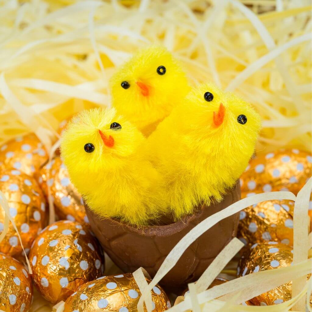 Easter Yellow Chenille Chick Dolls 3cm 6pk - Party Affair