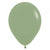 Fashion Eucalyptus Latex Helium Balloon
