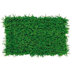 Tissue Paper Grass Look Mat - Party Affair