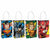 Justice League Heroes Unite Loot Bags
