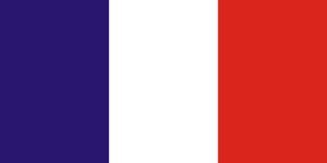 French Flag Cloth Hand Waver