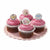 Frills and Frosting Cup Cake Toppers 
