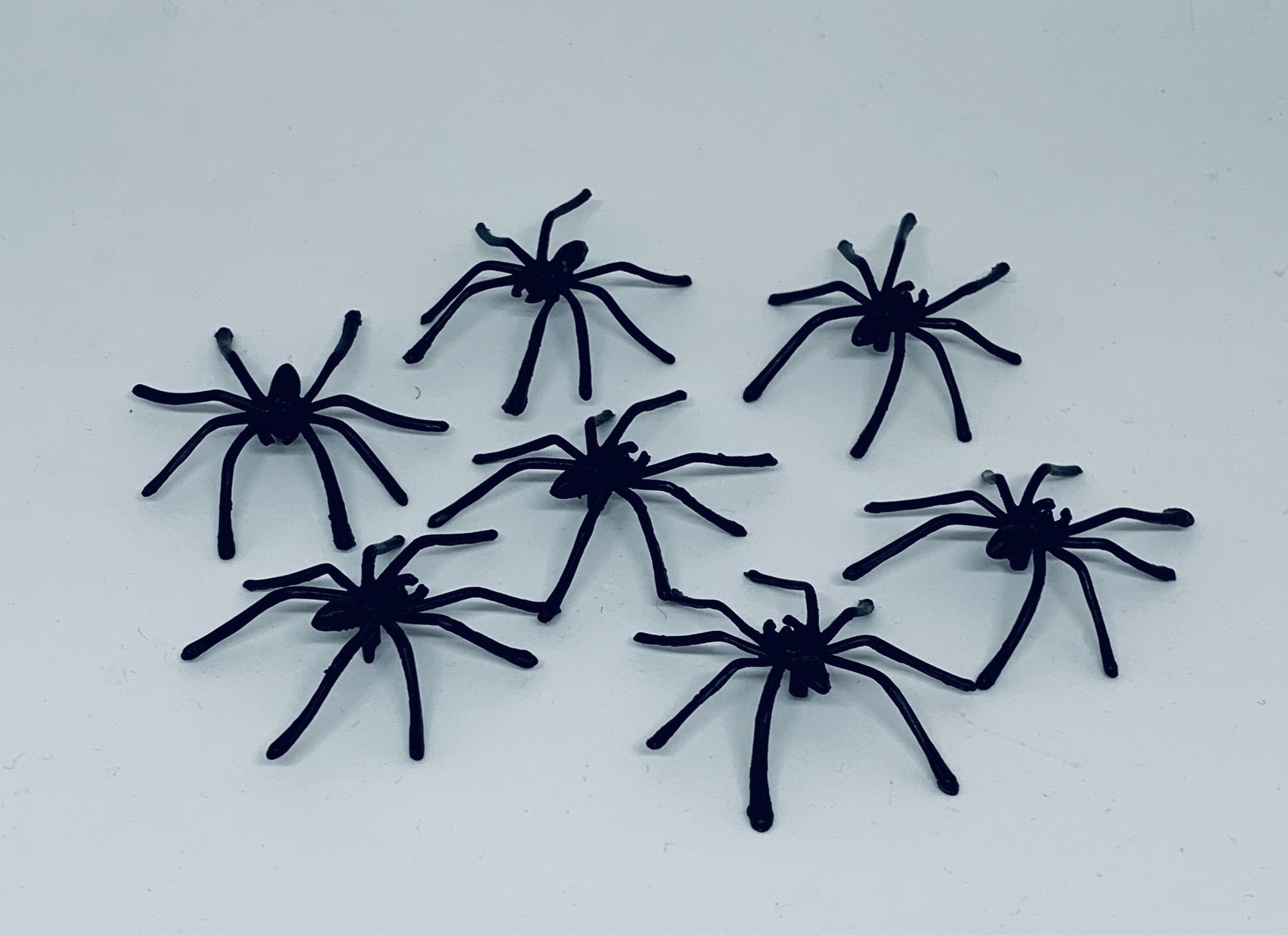 Small Black Spiders