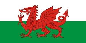 Welsh flag cloth hand waver for decorations, featuring red dragon and green and white stripes, by Budget Flags.