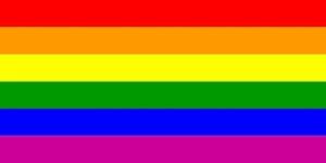 Rainbow Flag Cloth Hand Waver - Party Affair